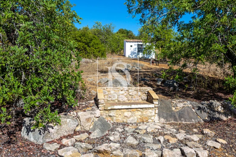 Quinta T10 para Venda em Cachopo Foto 23