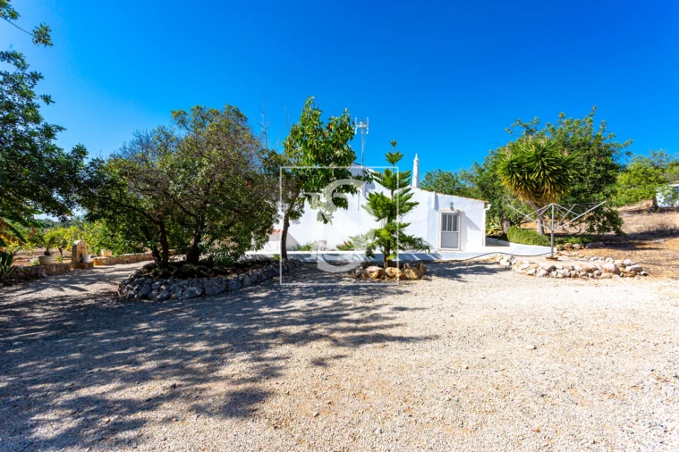 Quinta T10 para Venda em Cachopo Foto 14