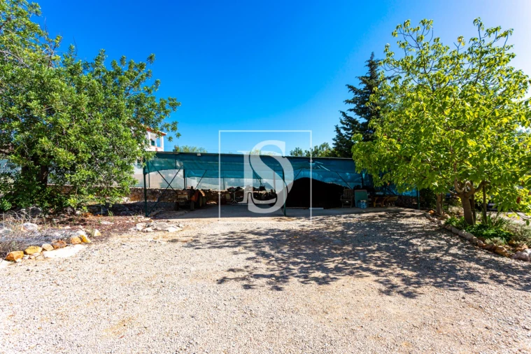 Quinta T10 para Venda em Cachopo Foto 25