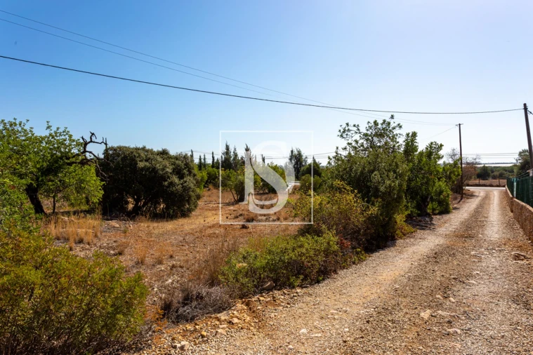 Quinta T10 para Venda em Cachopo Foto 27