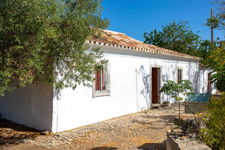 Quinta T10 para Venda em Cachopo Foto 13