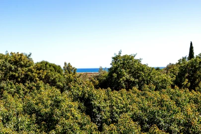 Moradia T3 para Venda em Luz de Tavira e Santo Estêvão