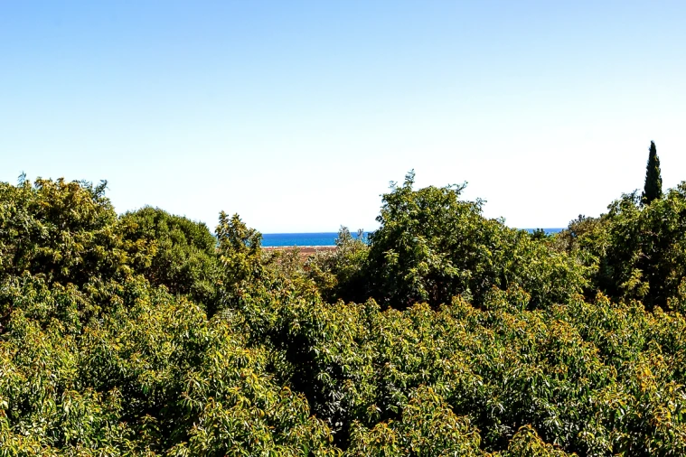 Moradia T3 para Venda em Luz de Tavira e Santo Estêvão Foto 11