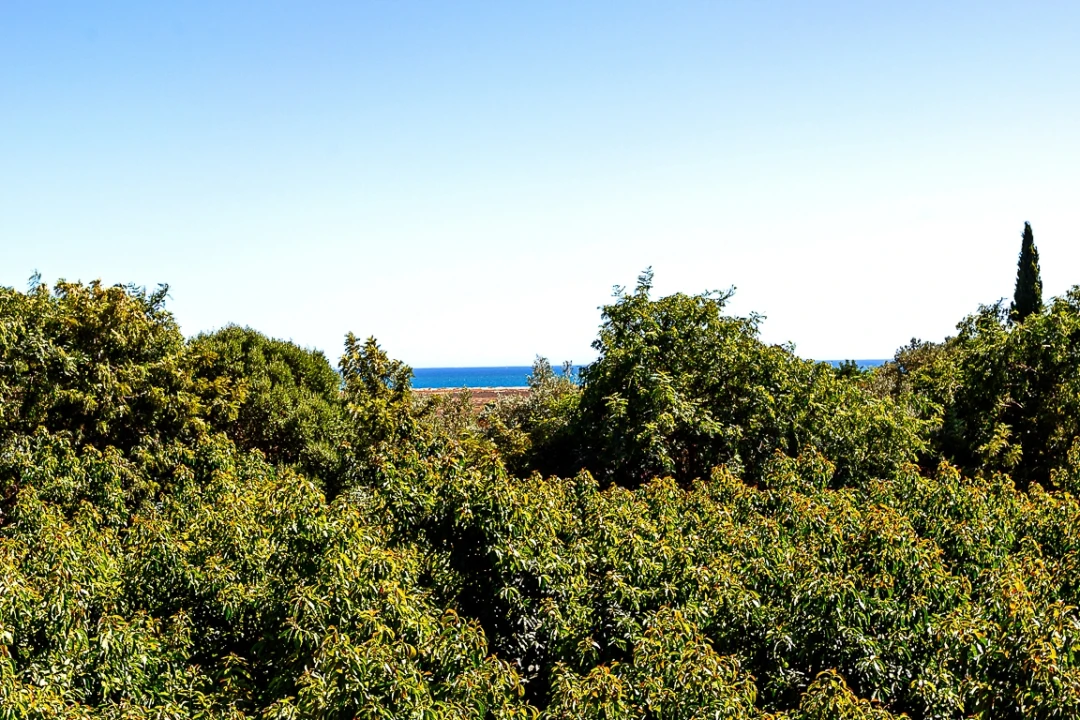 Moradia T3 para Venda em Luz de Tavira e Santo Estêvão Foto 11