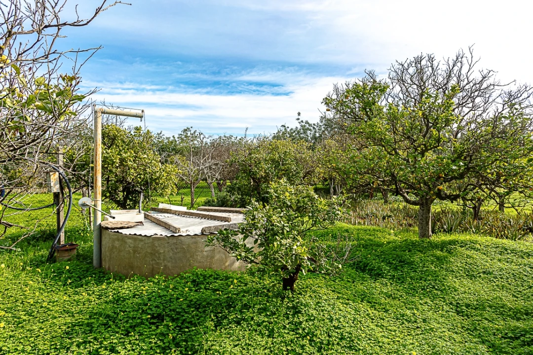 Moradia T4 para Venda em Luz de Tavira e Santo Estêvão Foto 18