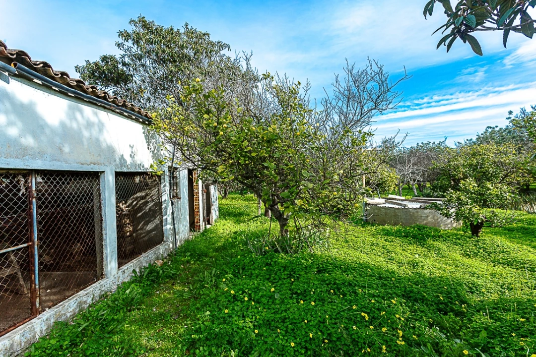 Moradia T4 para Venda em Luz de Tavira e Santo Estêvão Foto 22