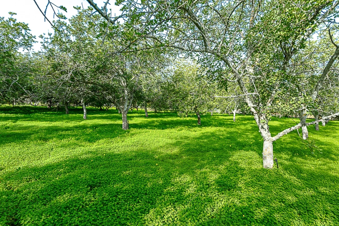 Moradia T4 para Venda em Luz de Tavira e Santo Estêvão Foto 21