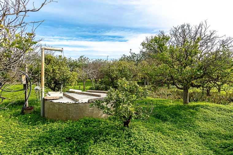 Moradia T4 para Venda em Luz de Tavira e Santo Estêvão Foto 18