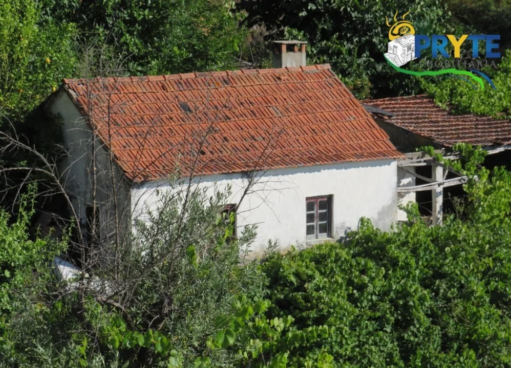 Moradia para Venda em Troviscal Foto 1