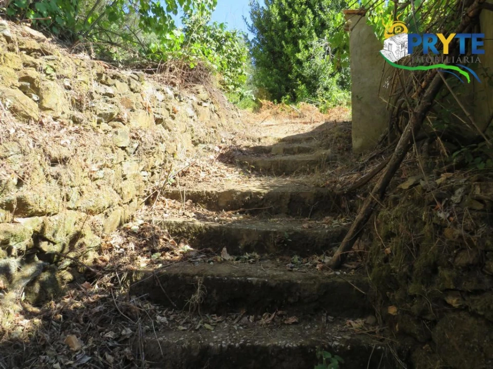 Moradia para Venda em Troviscal Foto 17