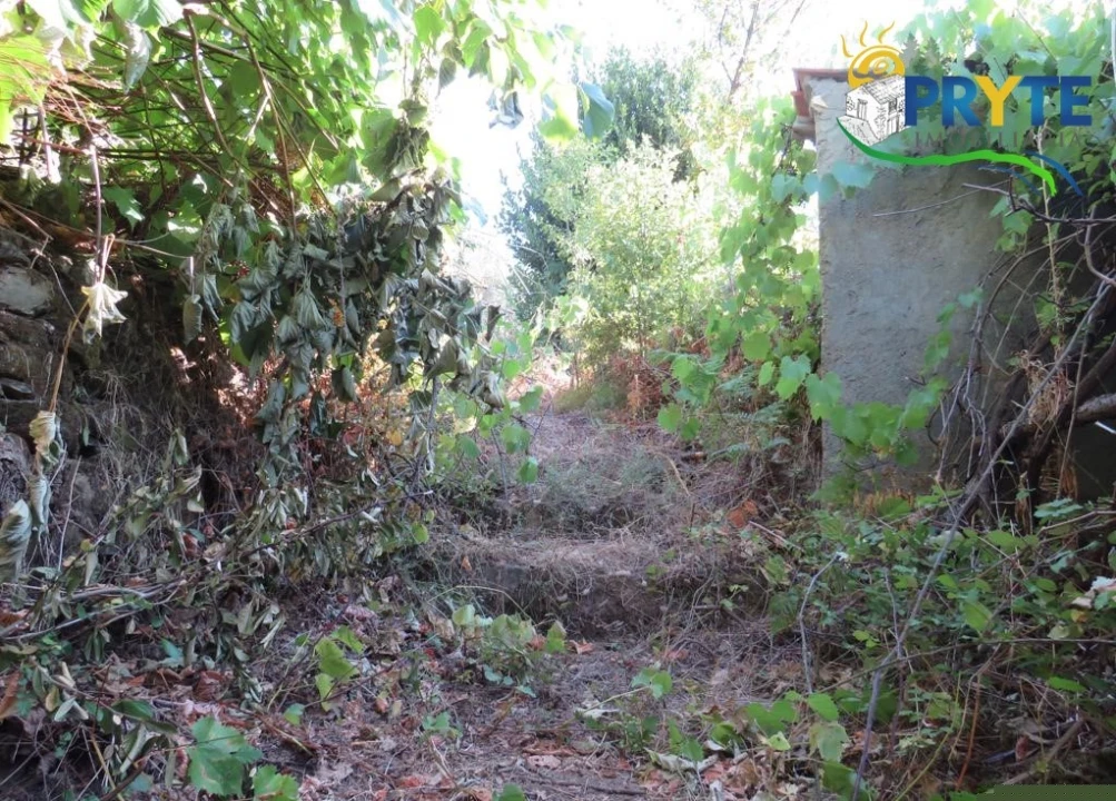 Moradia para Venda em Troviscal Foto 19