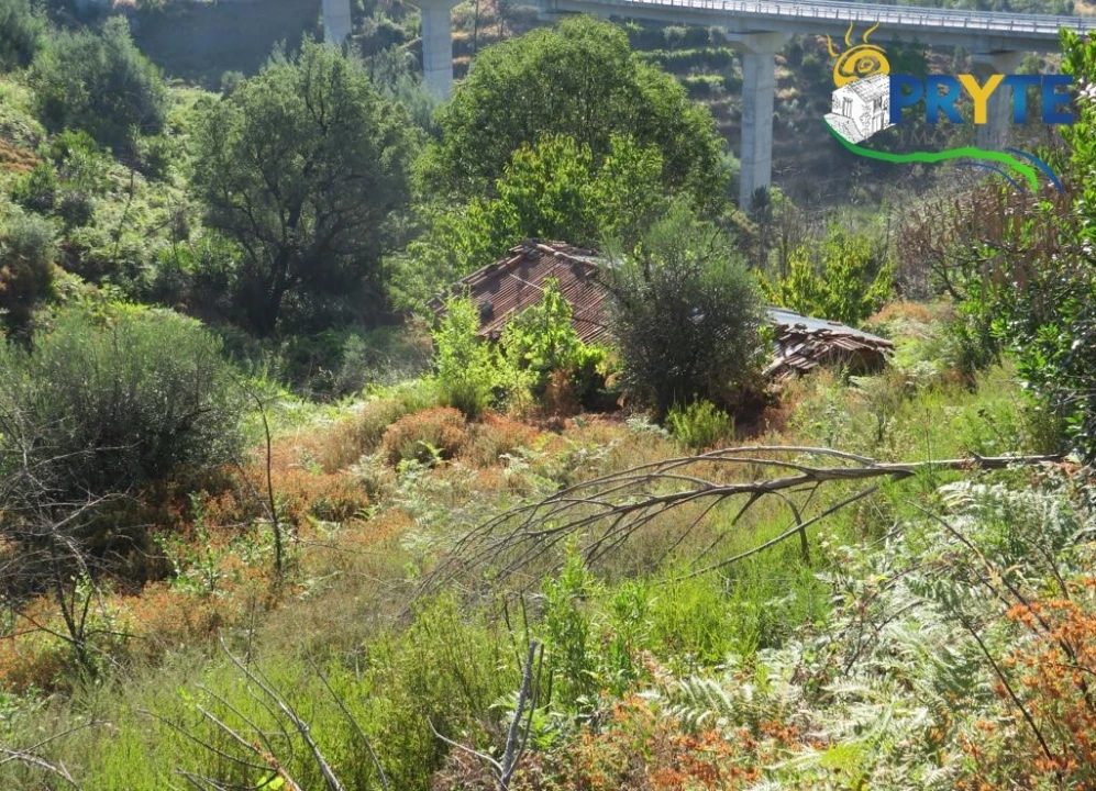 Moradia para Venda em Troviscal Foto 21