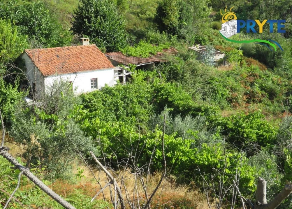 Moradia para Venda em Troviscal Foto 22