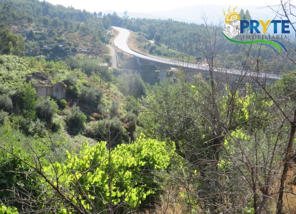 Moradia para Venda em Troviscal Foto 23