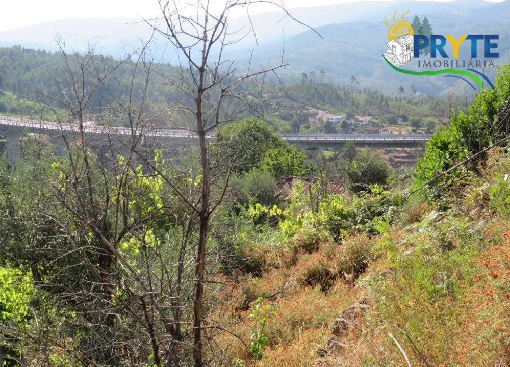 Moradia para Venda em Troviscal Foto 24