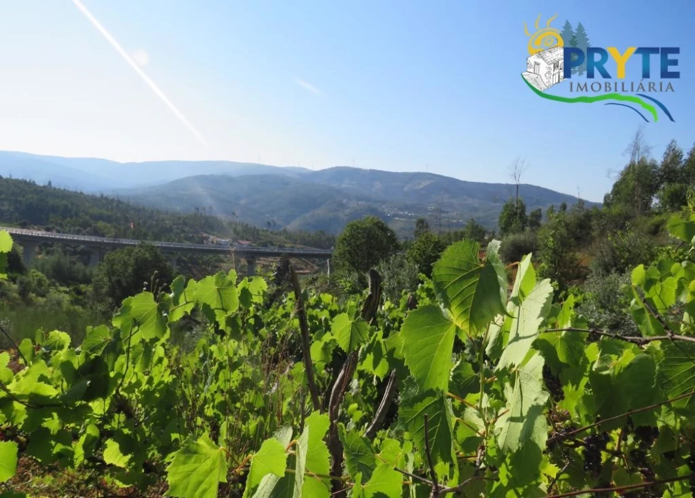 Moradia para Venda em Troviscal Foto 26