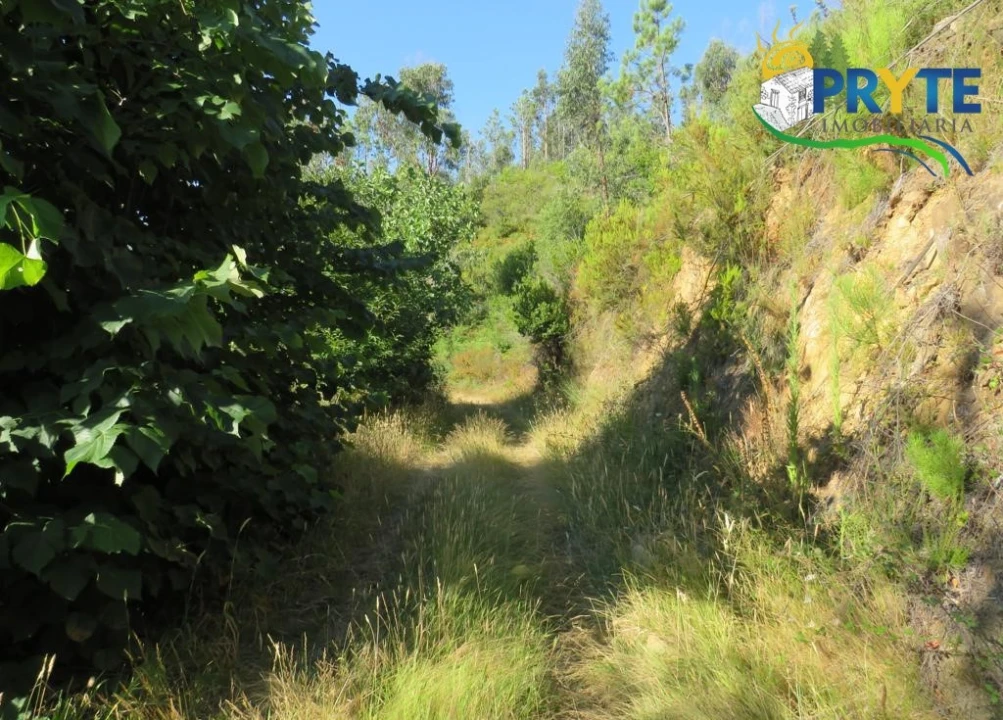 Moradia para Venda em Troviscal Foto 27