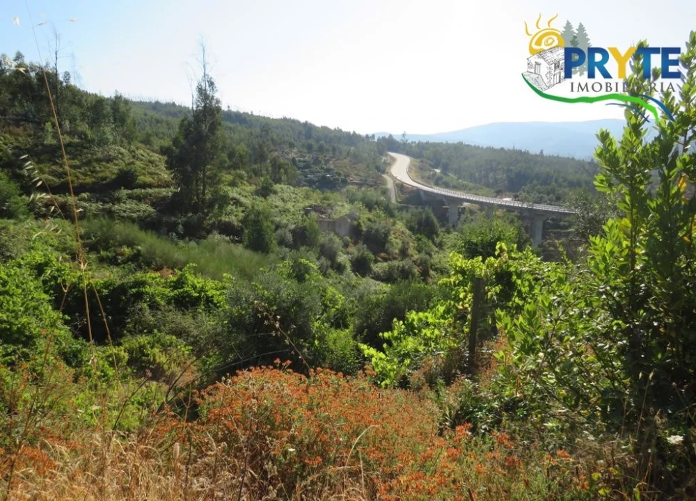 Moradia para Venda em Troviscal Foto 29