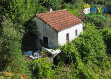 Moradia para Venda em Troviscal