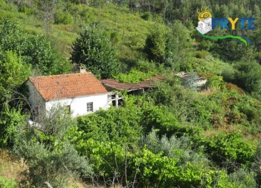 Moradia para Venda em Troviscal