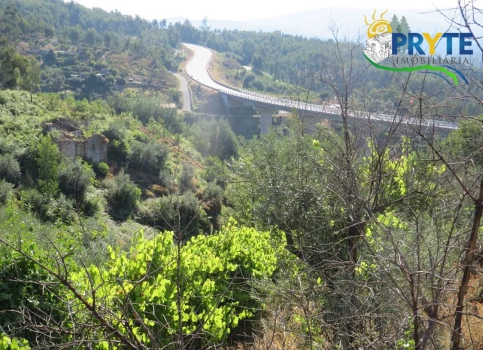 Moradia para Venda em Troviscal Foto 23