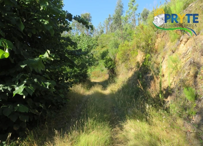 Moradia para Venda em Troviscal Foto 27