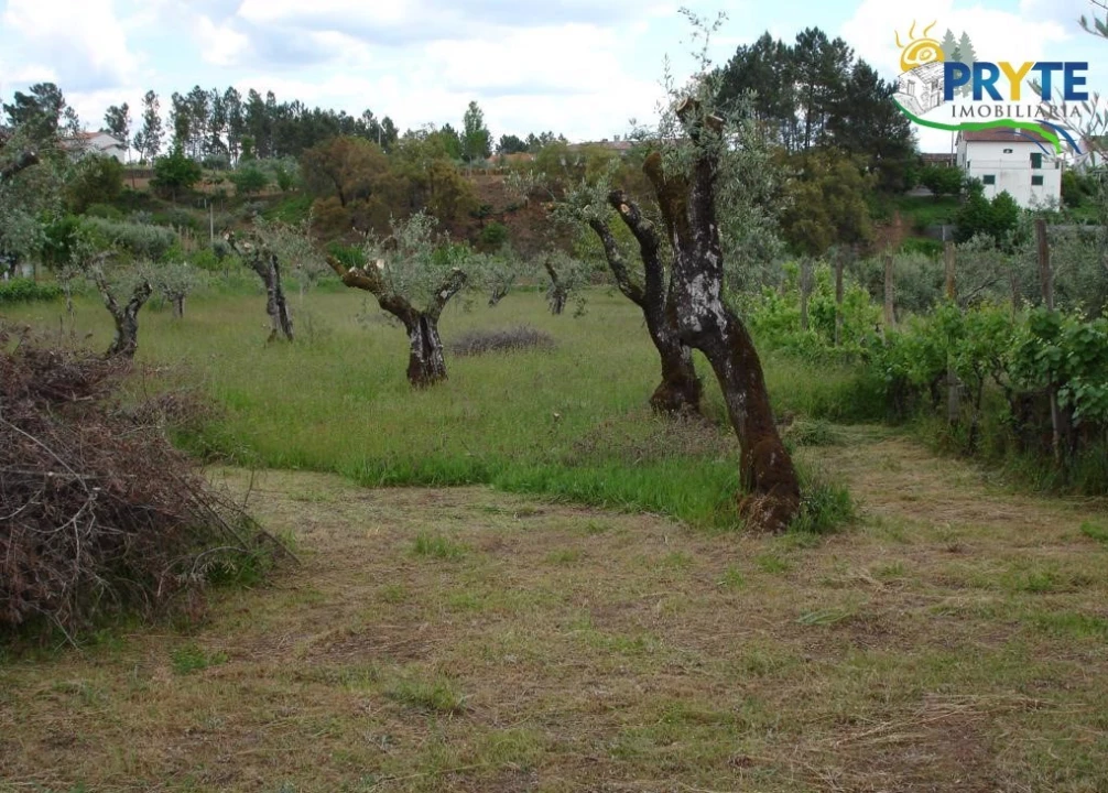 Moradia para Venda em Cabeçudo Foto 1