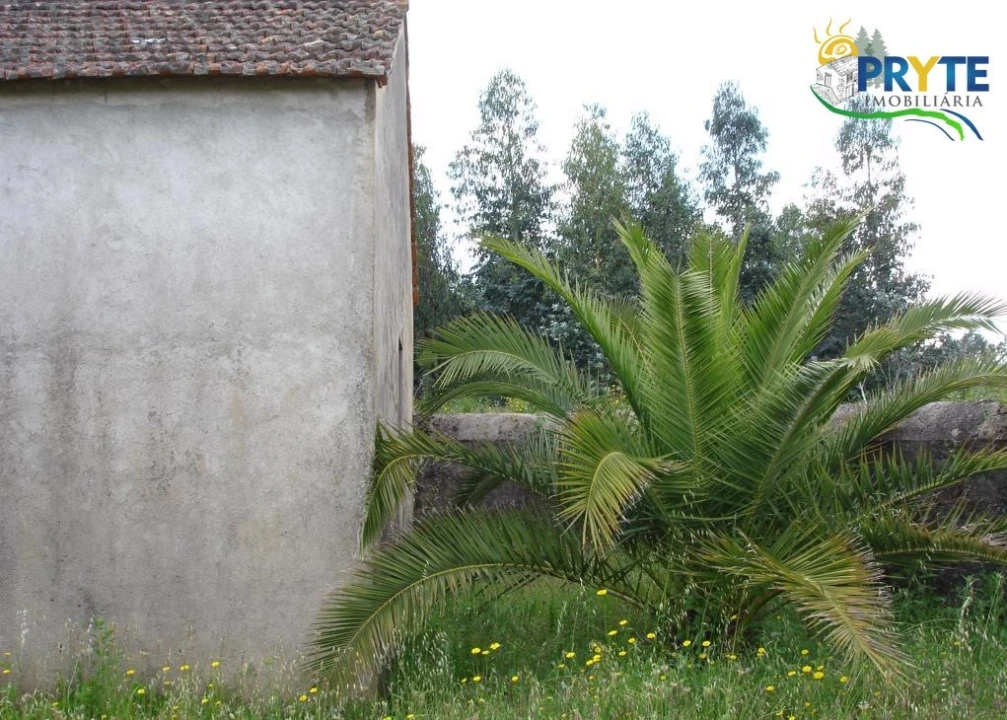 Moradia para Venda em Cabeçudo Foto 4