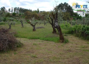 Moradia para Venda em Cabeçudo