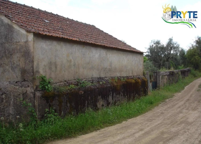 Moradia para Venda em Cabeçudo Foto 9