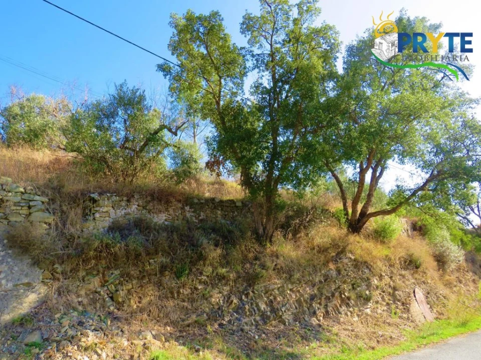 Moradia para Venda em Varzea dos Cavaleiros Foto 3