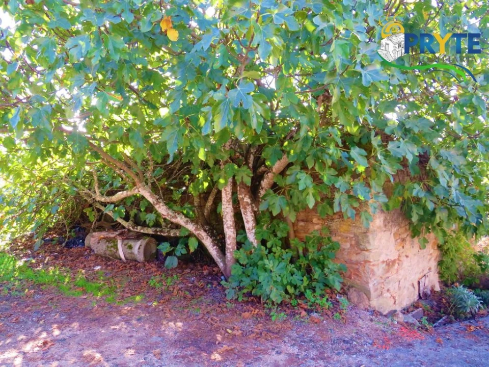 Moradia para Venda em Varzea dos Cavaleiros Foto 8