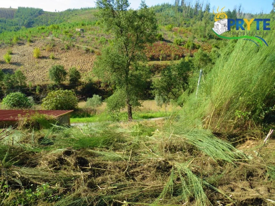 Moradia para Venda em Varzea dos Cavaleiros Foto 35