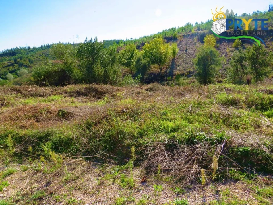 Moradia para Venda em Varzea dos Cavaleiros Foto 58