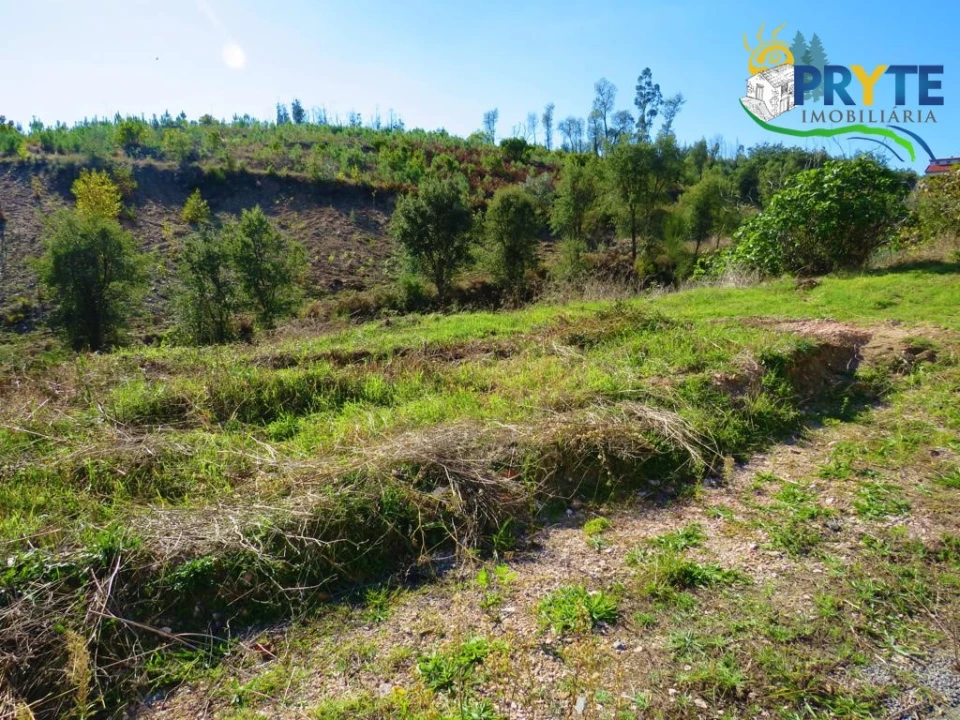Moradia para Venda em Varzea dos Cavaleiros Foto 59