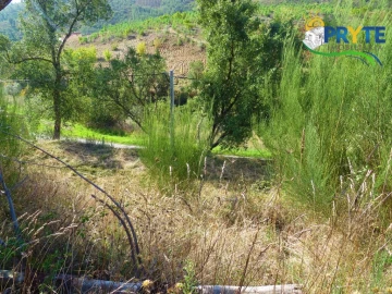 Moradia para Venda em Varzea dos Cavaleiros