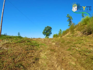 Moradia para Venda em Varzea dos Cavaleiros