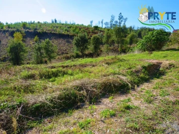 Moradia para Venda em Varzea dos Cavaleiros