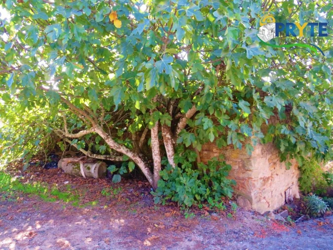 Moradia para Venda em Varzea dos Cavaleiros Foto 8