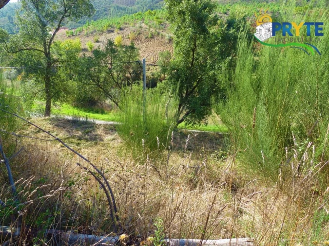 Moradia para Venda em Varzea dos Cavaleiros Foto 33