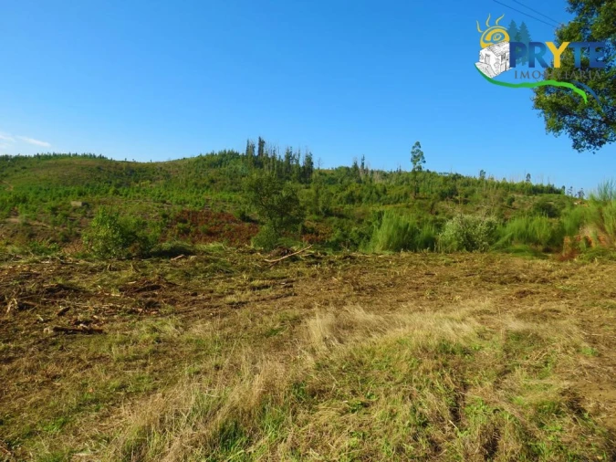 Moradia para Venda em Varzea dos Cavaleiros Foto 39