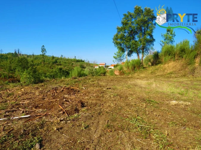 Moradia para Venda em Varzea dos Cavaleiros Foto 45