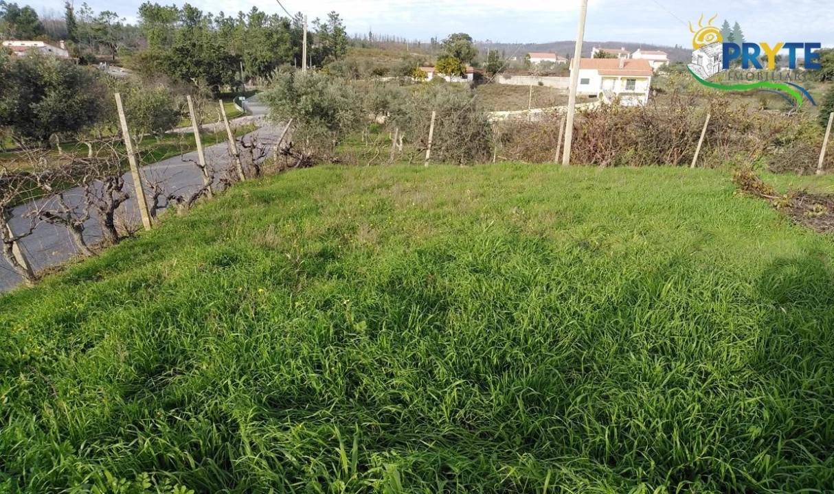 Moradia para Venda em Sertã Foto 6