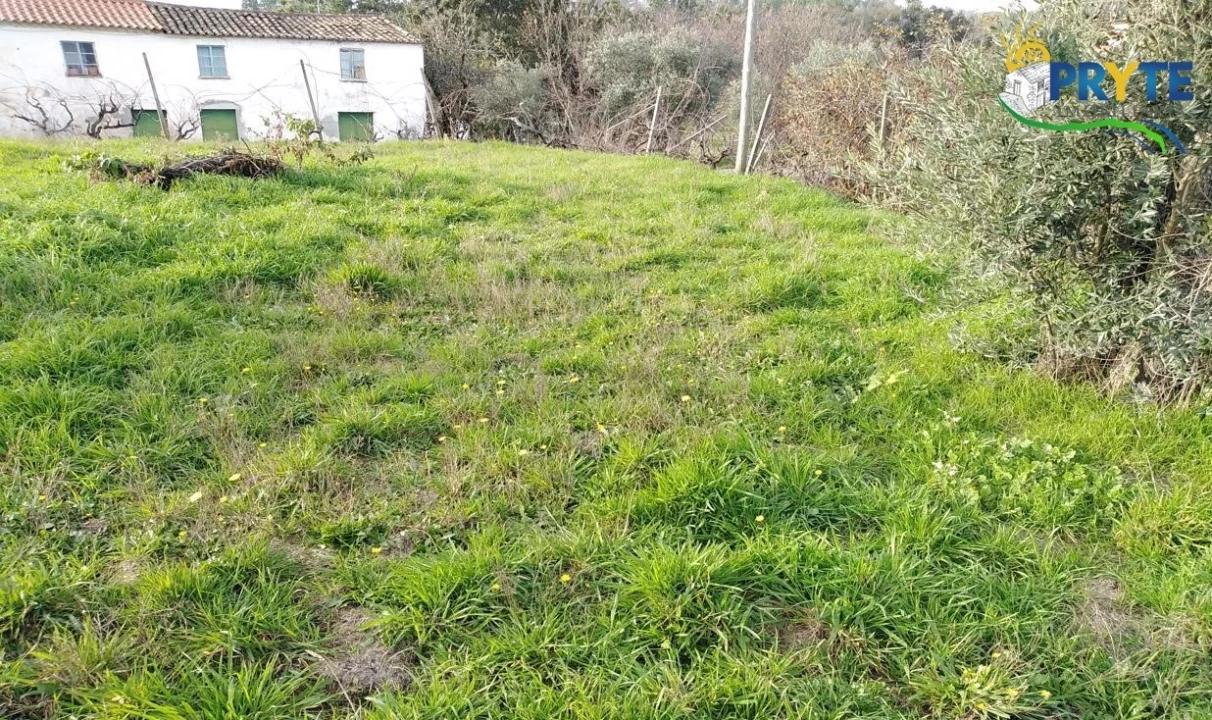 Moradia para Venda em Sertã Foto 7