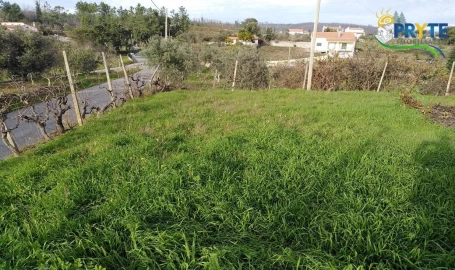Moradia para Venda em Sertã