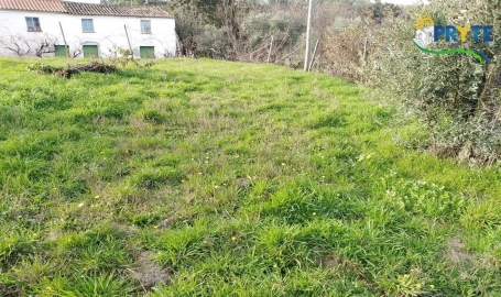 Moradia para Venda em Sertã