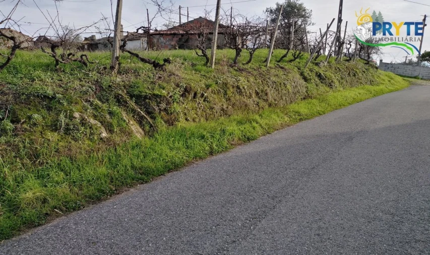 Moradia para Venda em Sertã Foto 2