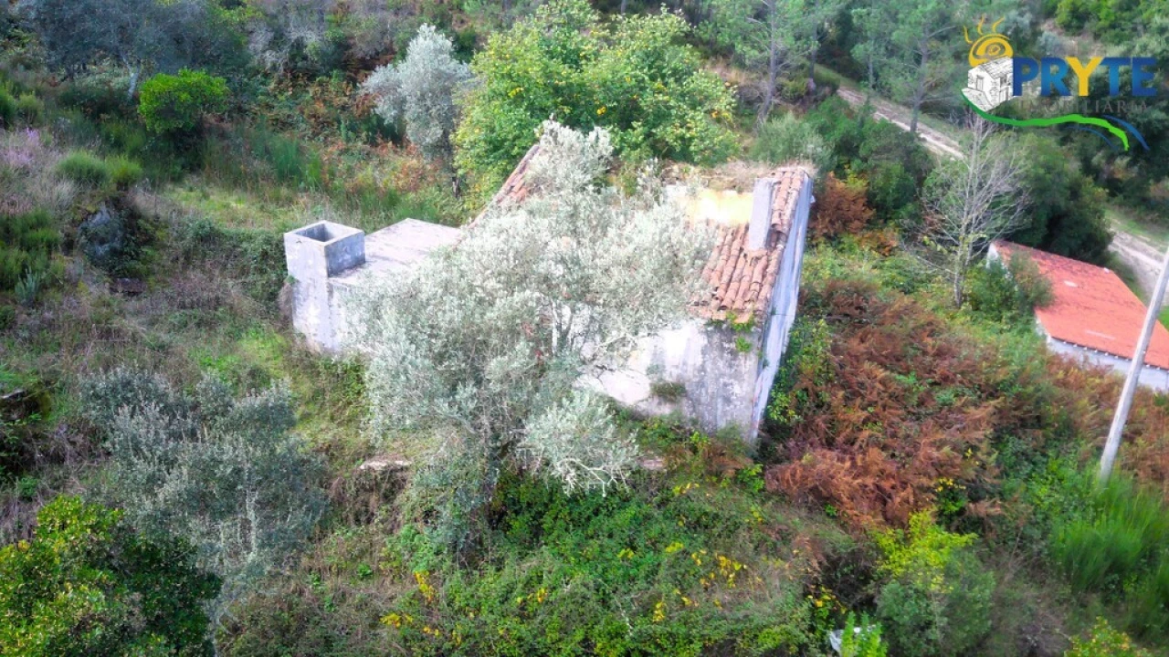 Moradia para Venda em Sertã Foto 4