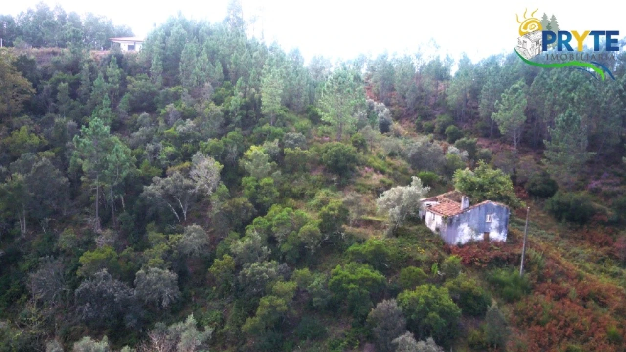 Moradia para Venda em Sertã Foto 9