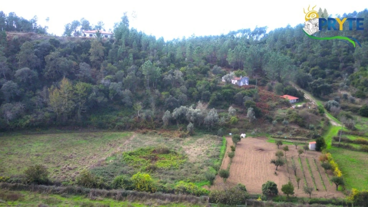 Moradia para Venda em Sertã Foto 13